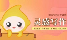 天涯最新爆料松鼠教育,揭秘教育行业背后的秘密